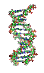【bifa必发(中国)基因检测】眼皮肤白化病4型基因解码、<a href=http://www.jclskj.com/tk/jiema/cexujishu/2021/31933.html>基因检测</a>的报告有人解读吗？