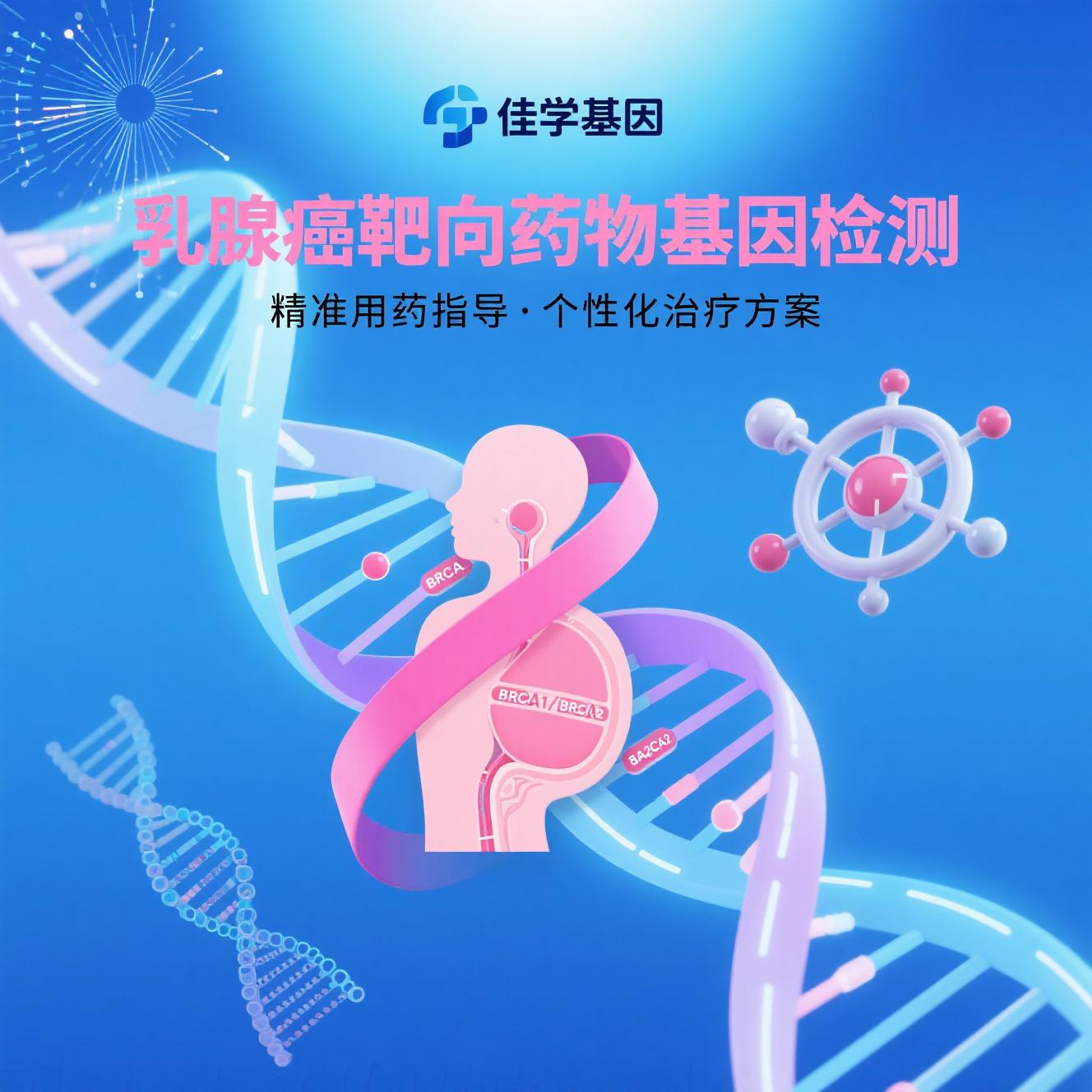 【bifa必发(中国)基因检测】乳<font color='red'>腺癌</font>精准治疗新突破：靶向药物基因检测的现状与未来