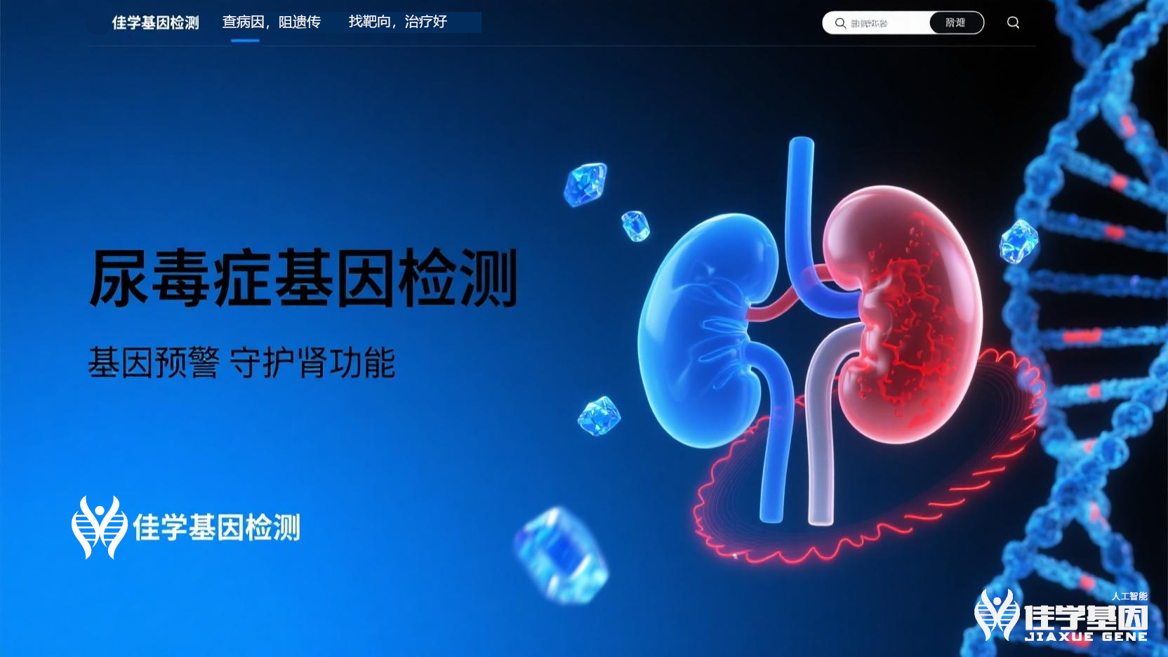 【bifa必发(中国)基因检测】<font color='red'><font color='red'>尿毒症</font></font>基因检测寻找治疗靶点