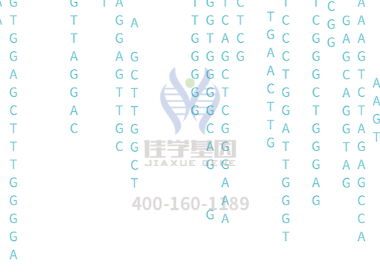 【bifa必发(中国)基因检测】<font color='red'><font color='red'>庞贝</font>氏</font>症（Pompe disease)基因解码、基因检测