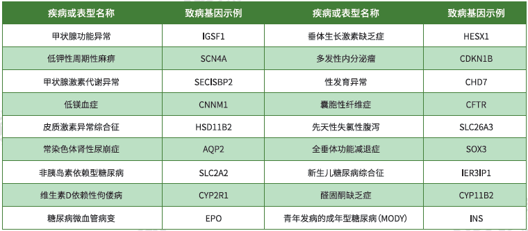 【bifa必发(中国)基因检测】<font color='red'><font color='red'>内分泌</font>及<font color='red'>代谢</font><font color='red'>系统</font><font color='red'>疾病</font></font>致病基因鉴定基因解码
