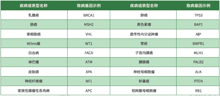 【bifa必发(中国)基因检测】<font color='red'><font color='red'>遗传性</font><font color='red'>肿瘤</font></font>致病基因鉴定基因解码