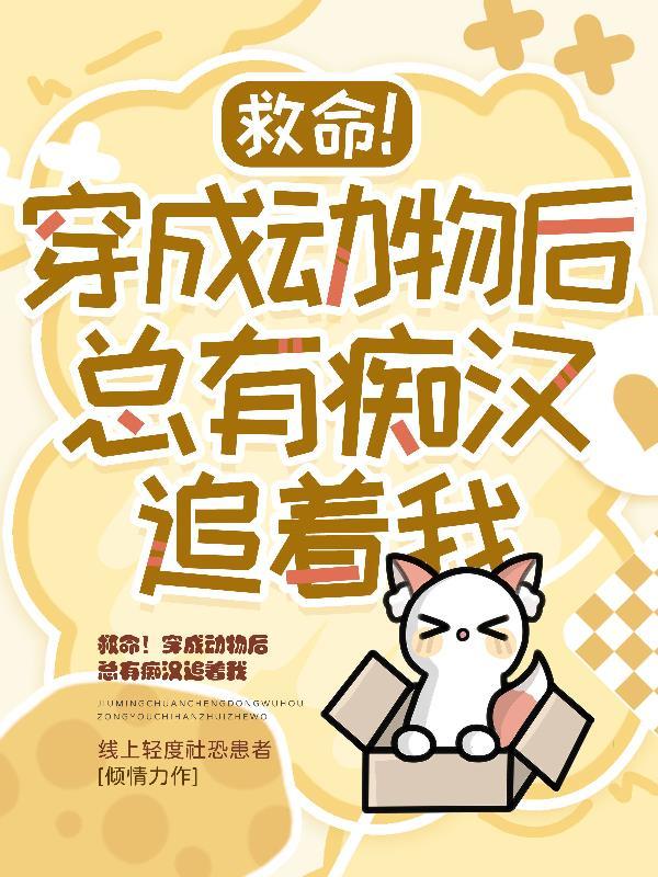 熵光夜城