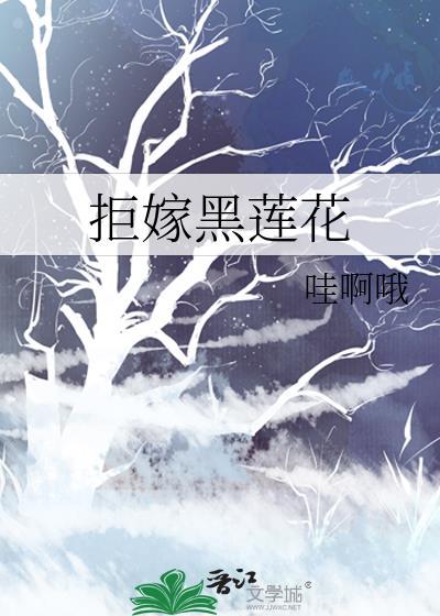 听说我们立海大是炮灰？
